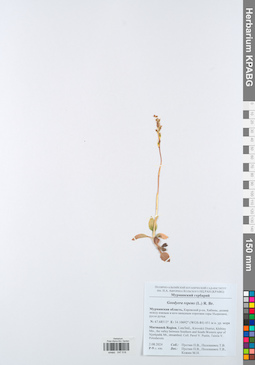 KPABG047518