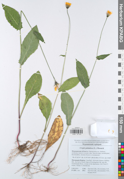 KPABG047563