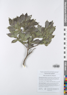 KPABG047588