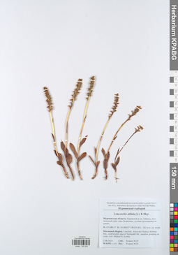 KPABG050005