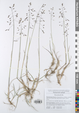 KPABG050030