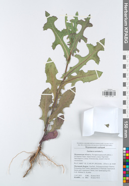 KPABG047341