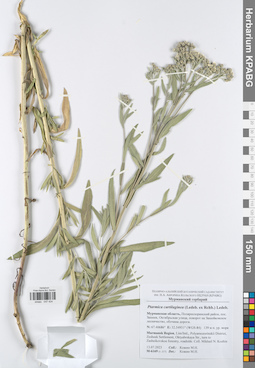 KPABG047424