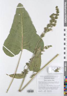 KPABG047441