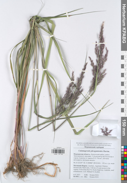 KPABG047046