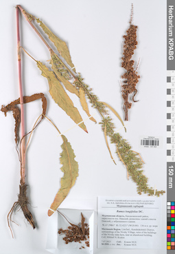KPABG047054