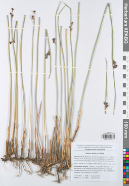 KPABG047073