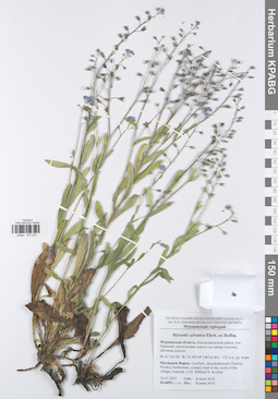 KPABG047075