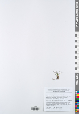 KPABG047090