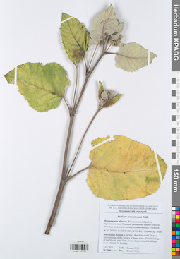 KPABG047093