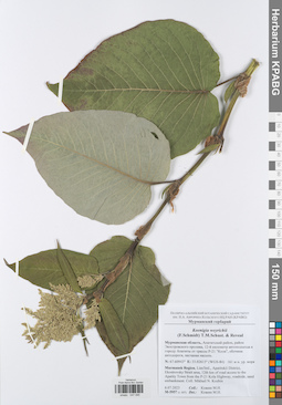 KPABG047095