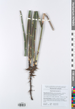 KPABG047172