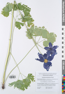 KPABG047182