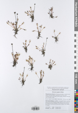 KPABG047197