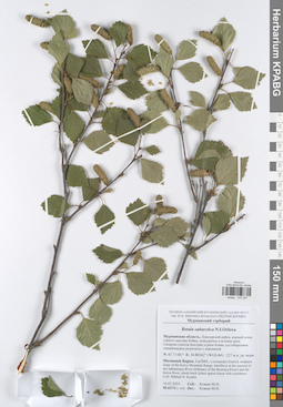 KPABG047207