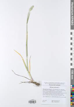 KPABG049865