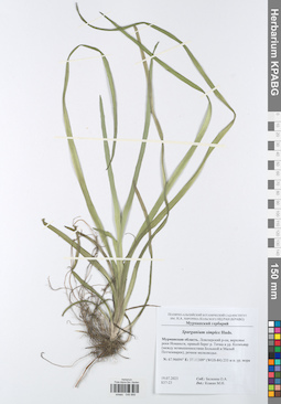 KPABG049868