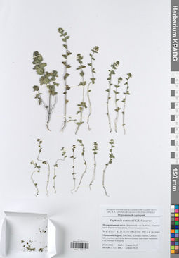 KPABG049740