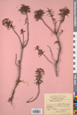 KPABG034054