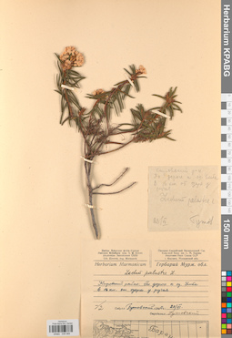 KPABG034069