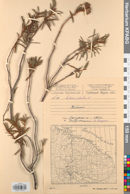 KPABG034070