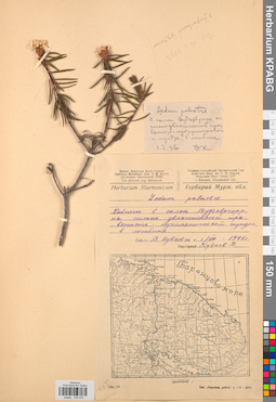 KPABG034074