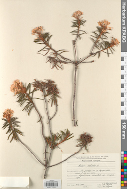KPABG034083