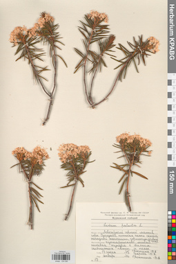 KPABG034090