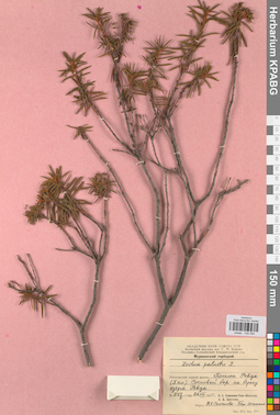 KPABG034094