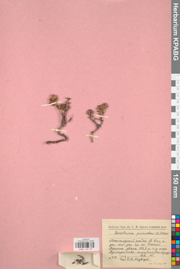 KPABG034139