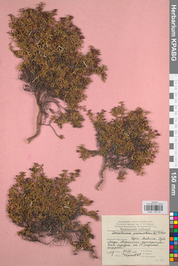 KPABG034142