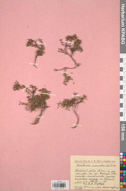 KPABG034148