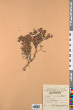 KPABG034154