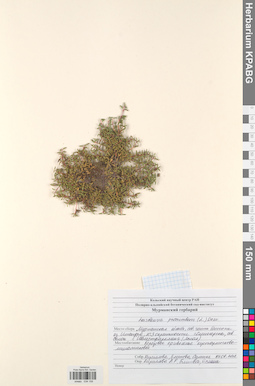 KPABG034159