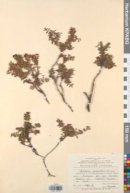 KPABG034160