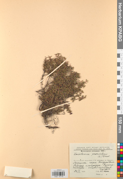 KPABG034162