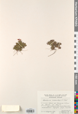 KPABG034164