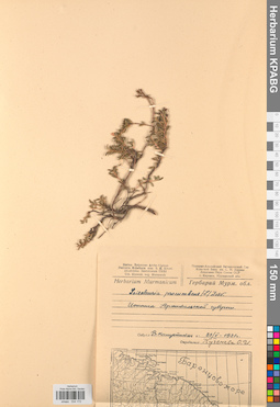 KPABG034172