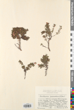 KPABG034178