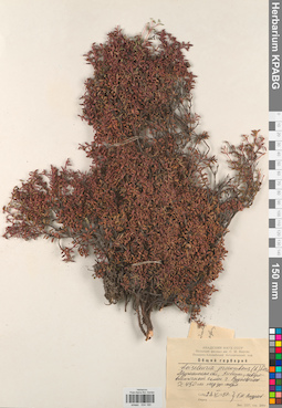 KPABG034180