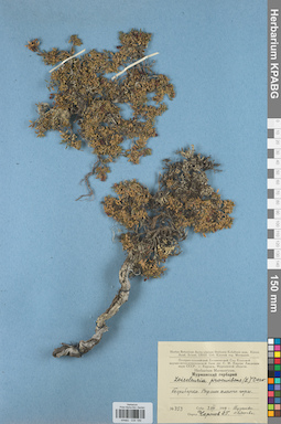 KPABG034189