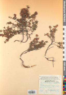 KPABG034193