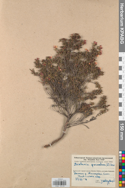 KPABG034220