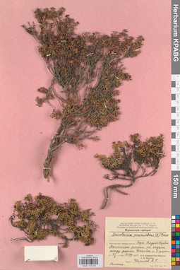 KPABG034222