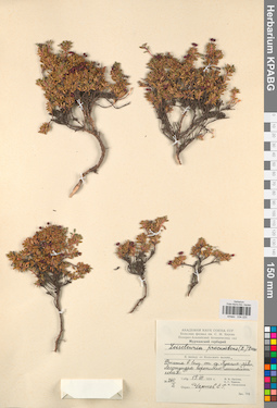 KPABG034225