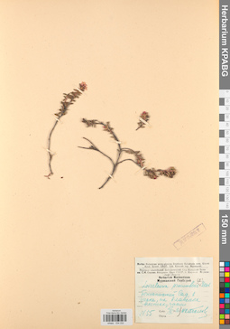 KPABG034232