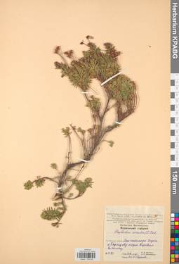 KPABG034245
