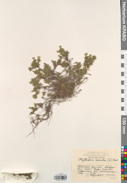 KPABG034248
