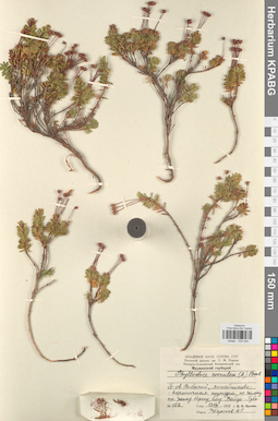 KPABG034249