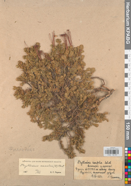 KPABG034253